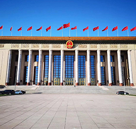 背靠全球清洁能源龙头